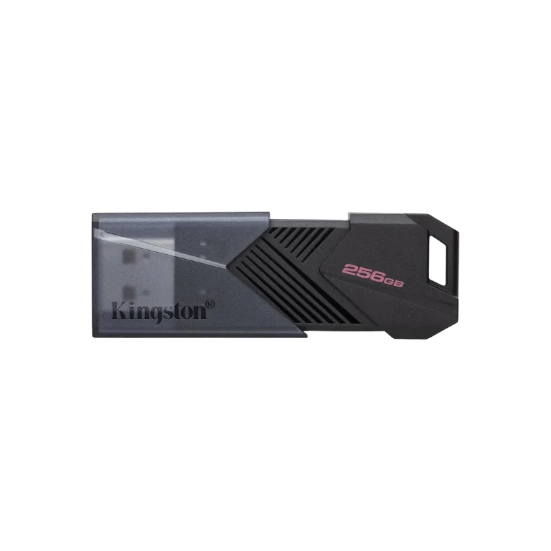 Fleš memorija Kingston USB 256GB DTXON