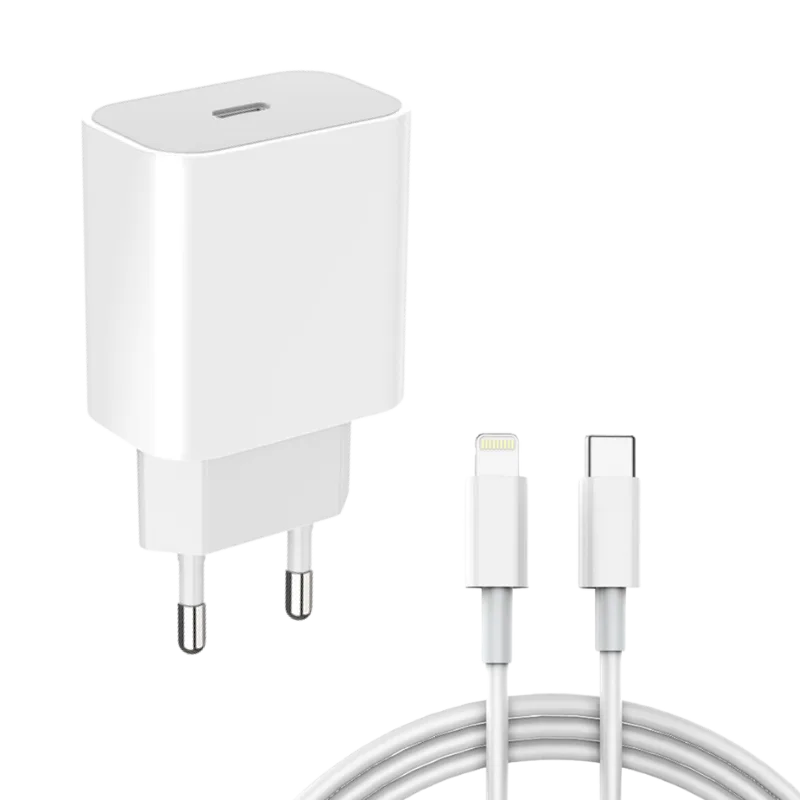 DENMEN kućni punjač sa kablom 20W DC06L