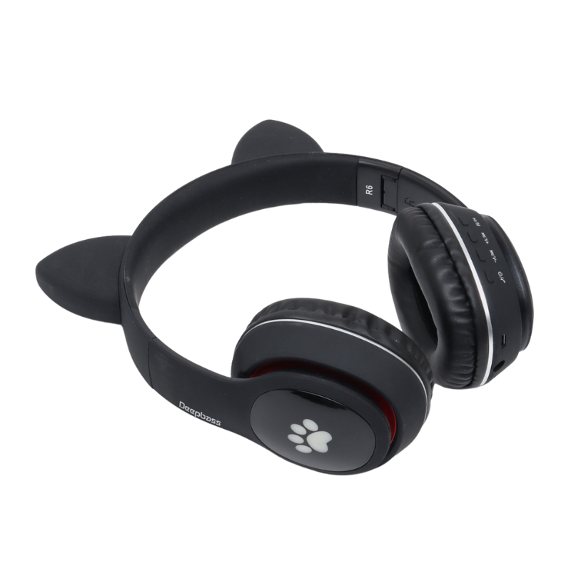 DEEPBASS R6