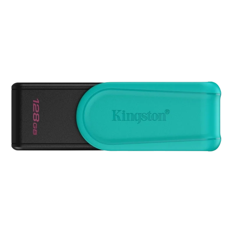 Fleš memorija Kingston USB 128GB DTXS